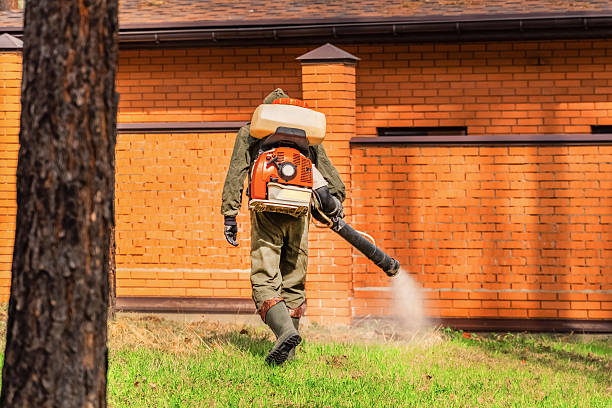 Trusted Mosquito Control service in Fairfield Plantation, GA - Nex Pest Control